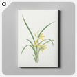 1-16_19th-Century-Japanese-Flowers_canvas