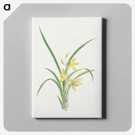 1-16_19th-Century-Japanese-Flowers_canvas