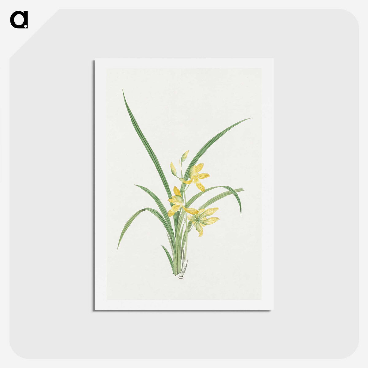 1-16_19th-Century-Japanese-Flowers_hagaki