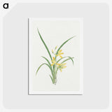 1-16_19th-Century-Japanese-Flowers_hagaki