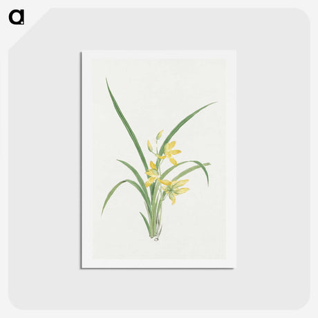 1-16_19th-Century-Japanese-Flowers_hagaki