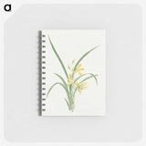 1-16_19th-Century-Japanese-Flowers_memo