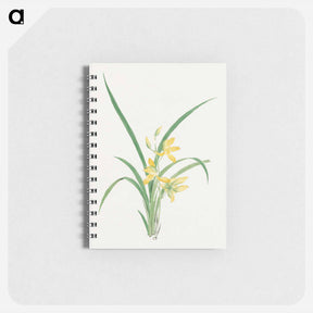 アートメモ帳-Ran - 19世紀の日本の花 Memo.
