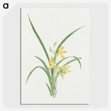 1-16_19th-Century-Japanese-Flowers_picture-crop
