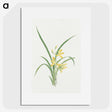 1-16_19th-Century-Japanese-Flowers_picture