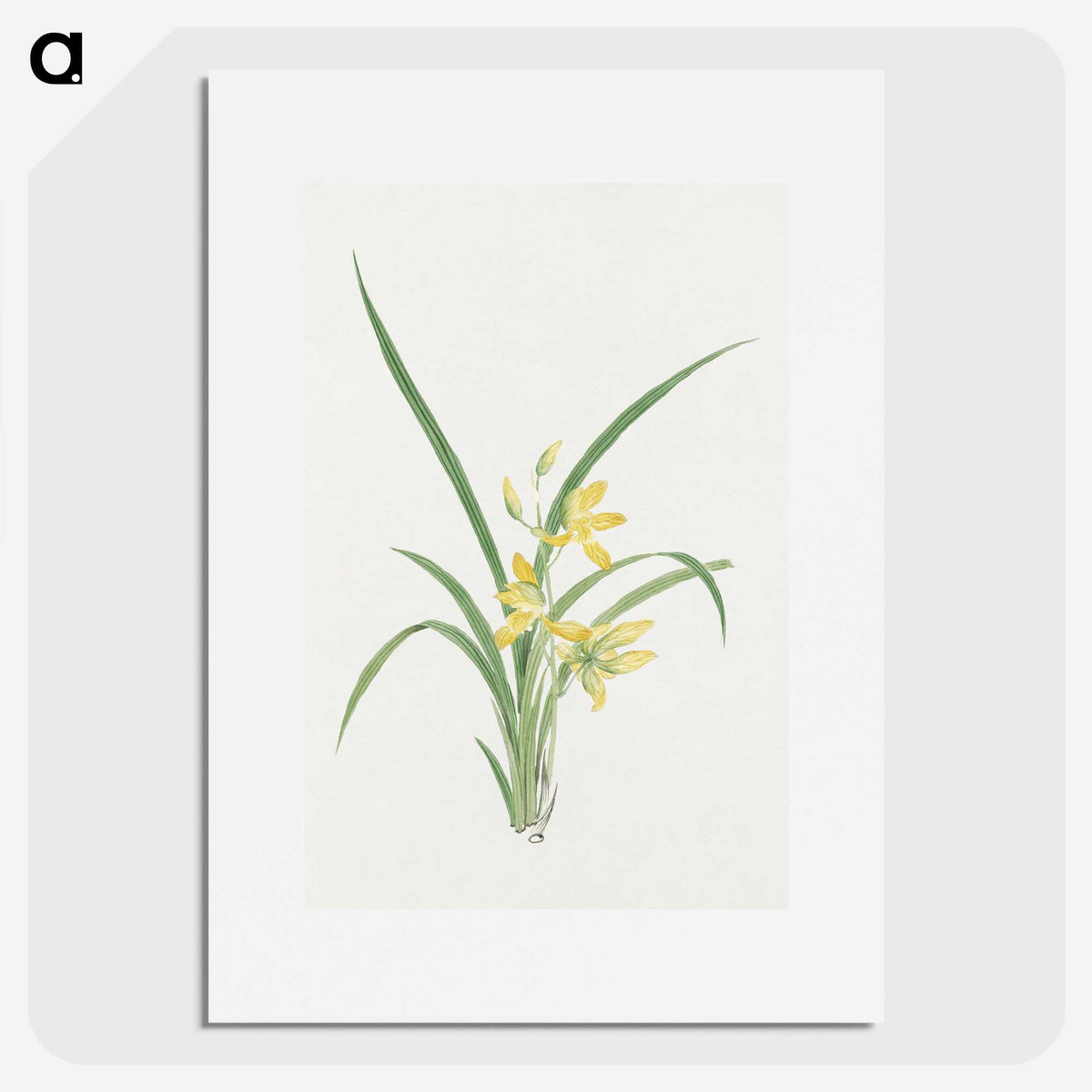 1-16_19th-Century-Japanese-Flowers_picture