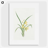 1-16_19th-Century-Japanese-Flowers_picture