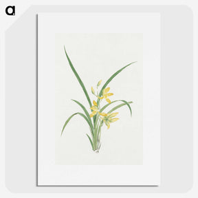 1-16_19th-Century-Japanese-Flowers_picture