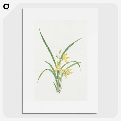 1-16_19th-Century-Japanese-Flowers_picture