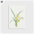 1-16_19th-Century-Japanese-Flowers_postcard
