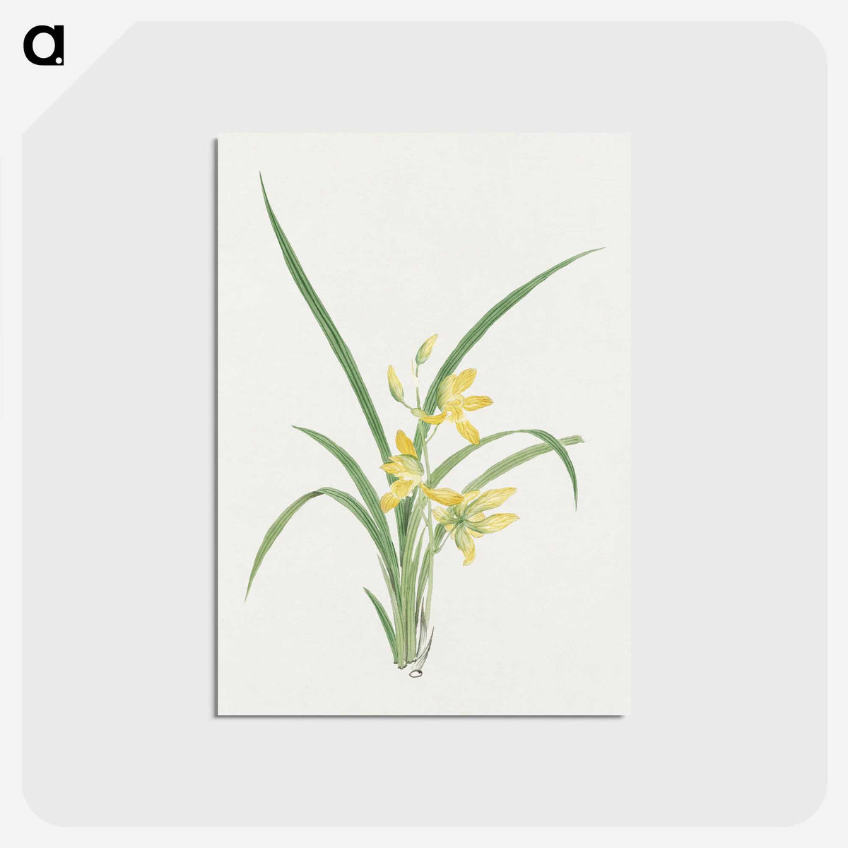 1-16_19th-Century-Japanese-Flowers_postcard