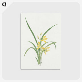 1-16_19th-Century-Japanese-Flowers_postcard