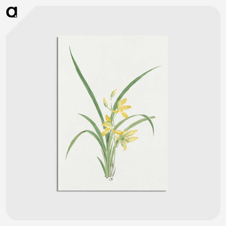 1-16_19th-Century-Japanese-Flowers_postcard