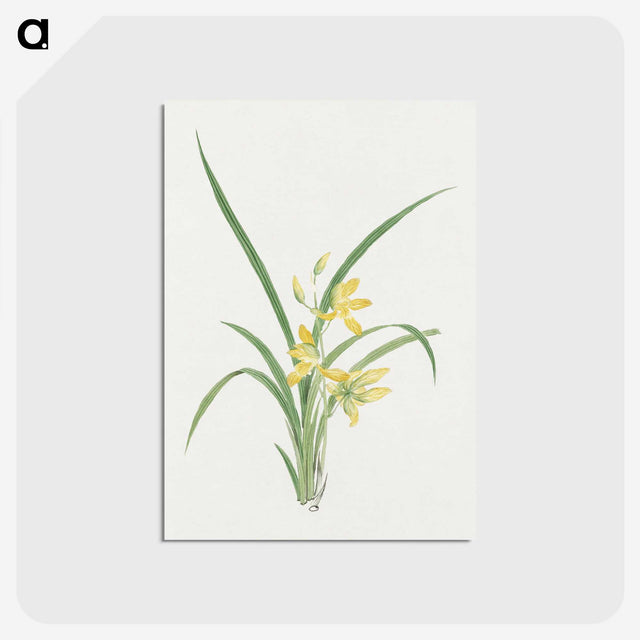 1-16_19th-Century-Japanese-Flowers_postcard