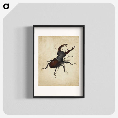 1-16_Albrecht-Durer_blk