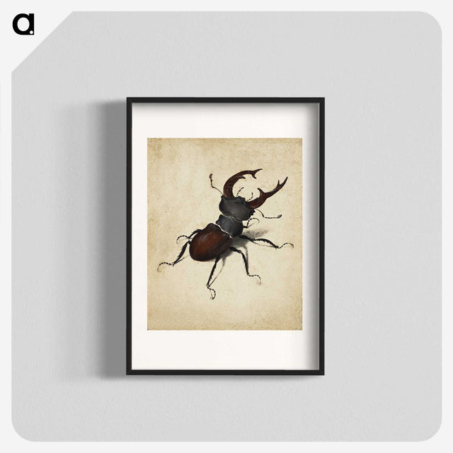 1-16_Albrecht-Durer_blk