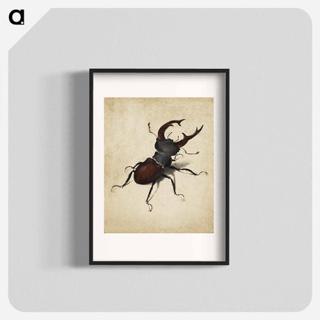アートポスター-Albrecht Dürer's Stag Beetle - アルブレヒト デューラー Poster.