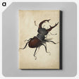 1-16_Albrecht-Durer_canvas