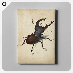 1-16_Albrecht-Durer_canvas