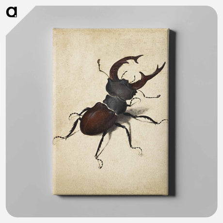 アートパネル-Albrecht Dürer's Stag Beetle - アルブレヒト デューラー Canvas.