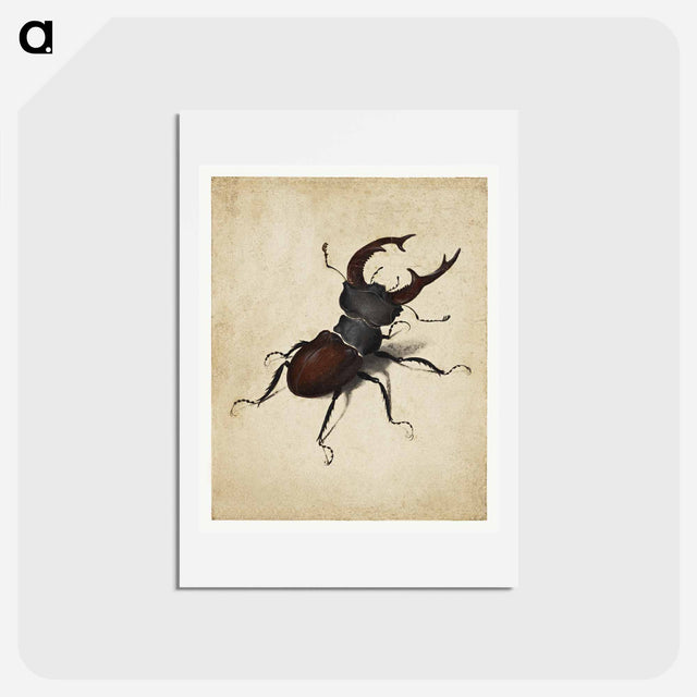 アートポストカード-Albrecht Dürer's Stag Beetle - アルブレヒト デューラー Postcard.