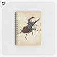1-16_Albrecht-Durer_memo