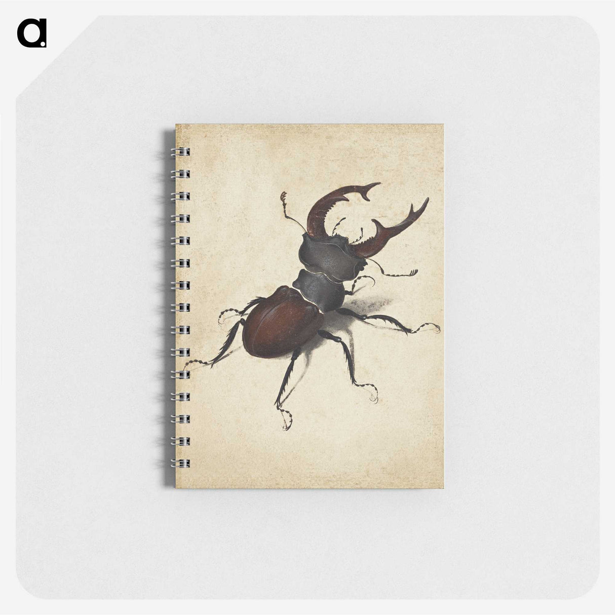 1-16_Albrecht-Durer_memo