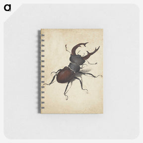 1-16_Albrecht-Durer_memo