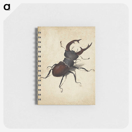 1-16_Albrecht-Durer_memo