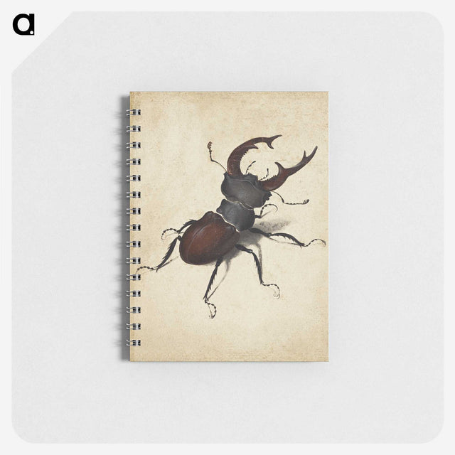 1-16_Albrecht-Durer_memo