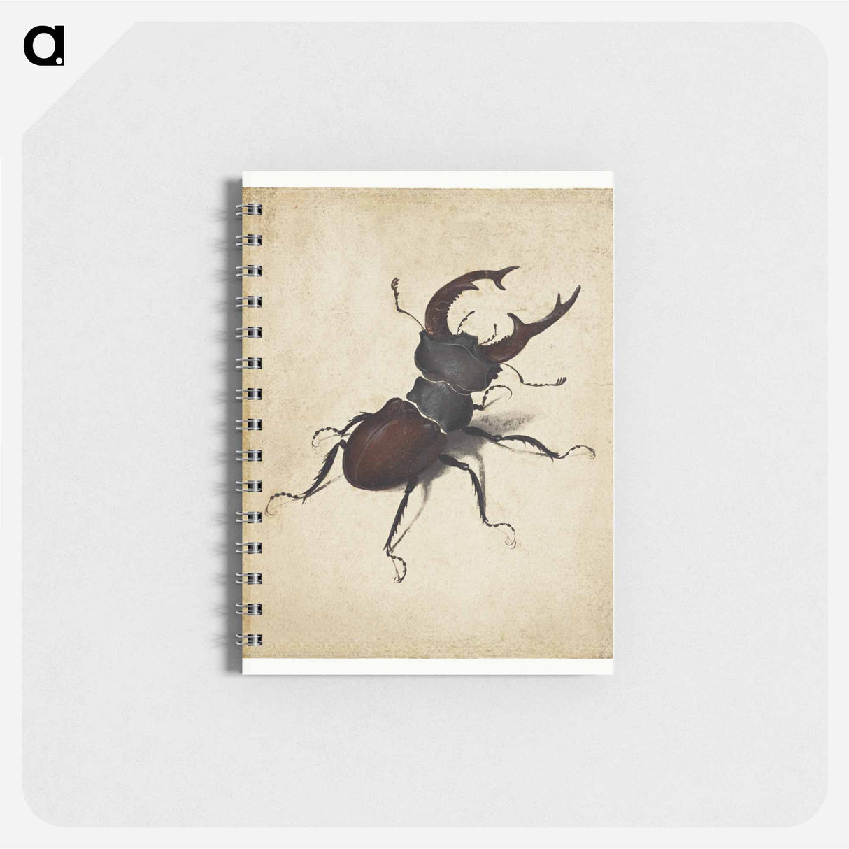 Albrecht Dürer's Stag Beetle - アルブレヒト デューラー Memo.