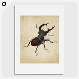 1-16_Albrecht-Durer_picture