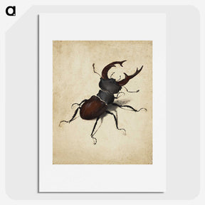 1-16_Albrecht-Durer_picture