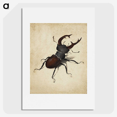 1-16_Albrecht-Durer_picture