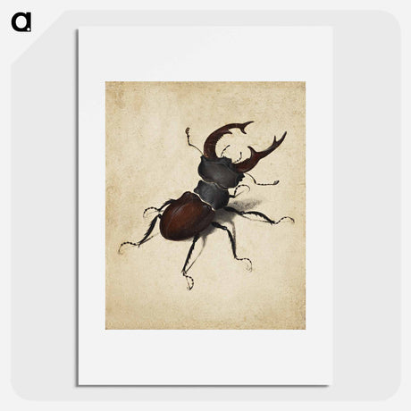 アートポスター-Albrecht Dürer's Stag Beetle - アルブレヒト デューラー Poster.