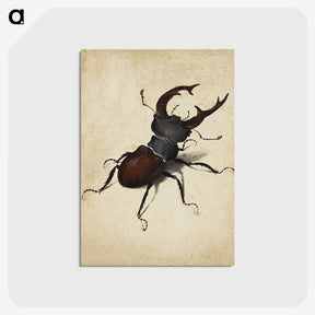 1-16_Albrecht-Durer_postcard