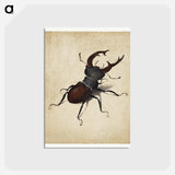 Albrecht Dürer's Stag Beetle - アルブレヒト デューラー Postcard.