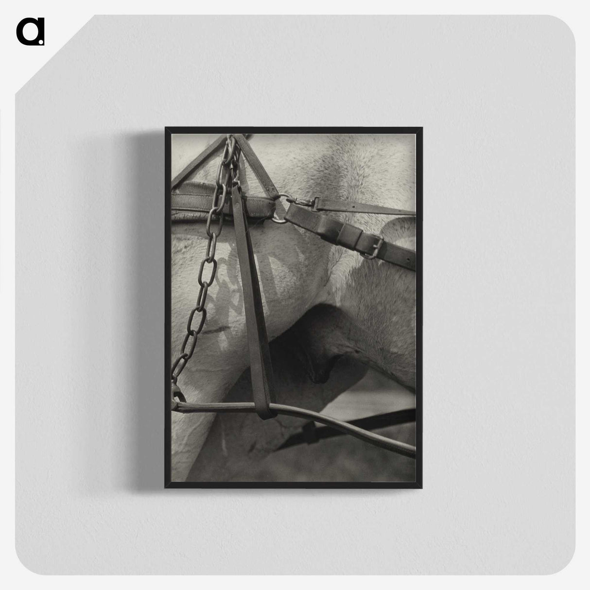 1-16_Alfred-Stieglitz_blk-crop