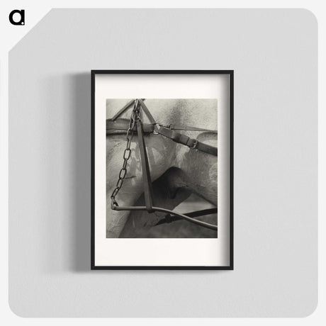 1-16_Alfred-Stieglitz_blk
