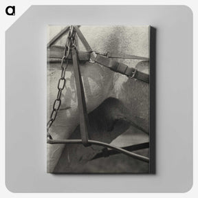 1-16_Alfred-Stieglitz_canvas
