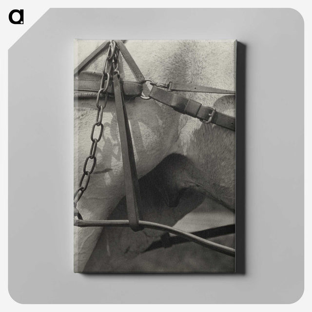 1-16_Alfred-Stieglitz_canvas