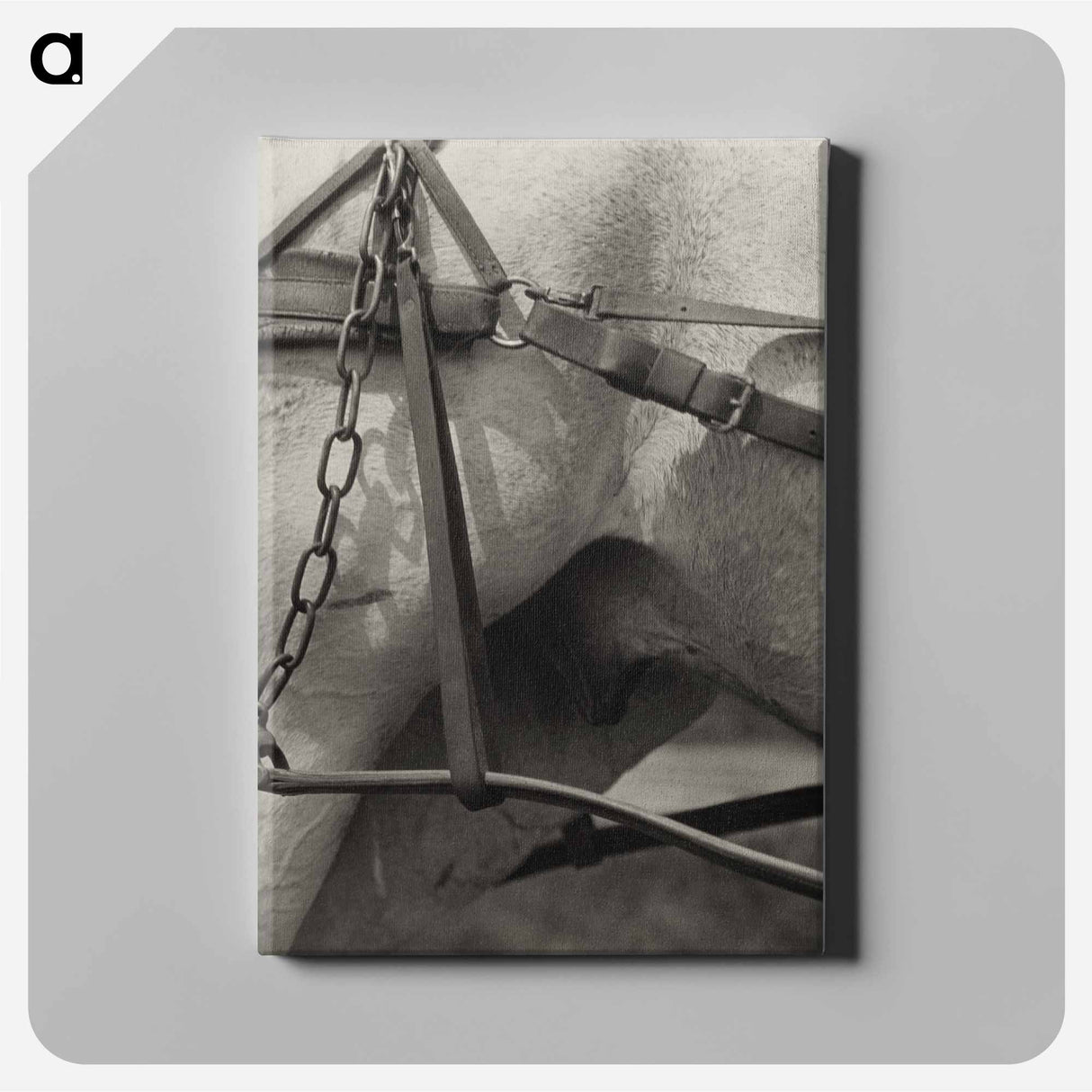Spiritual America - アルフレッド スティーグリッツ Canvas.