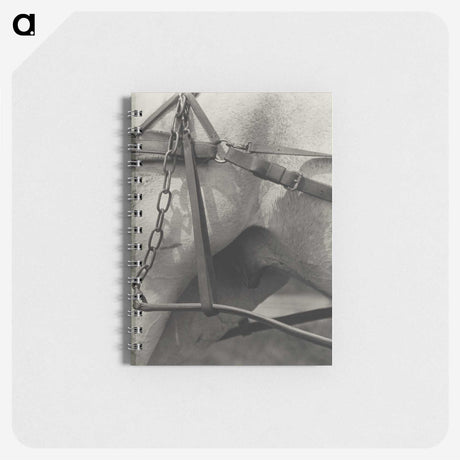 1-16_Alfred-Stieglitz_memo