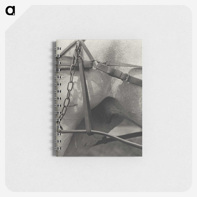 1-16_Alfred-Stieglitz_memo