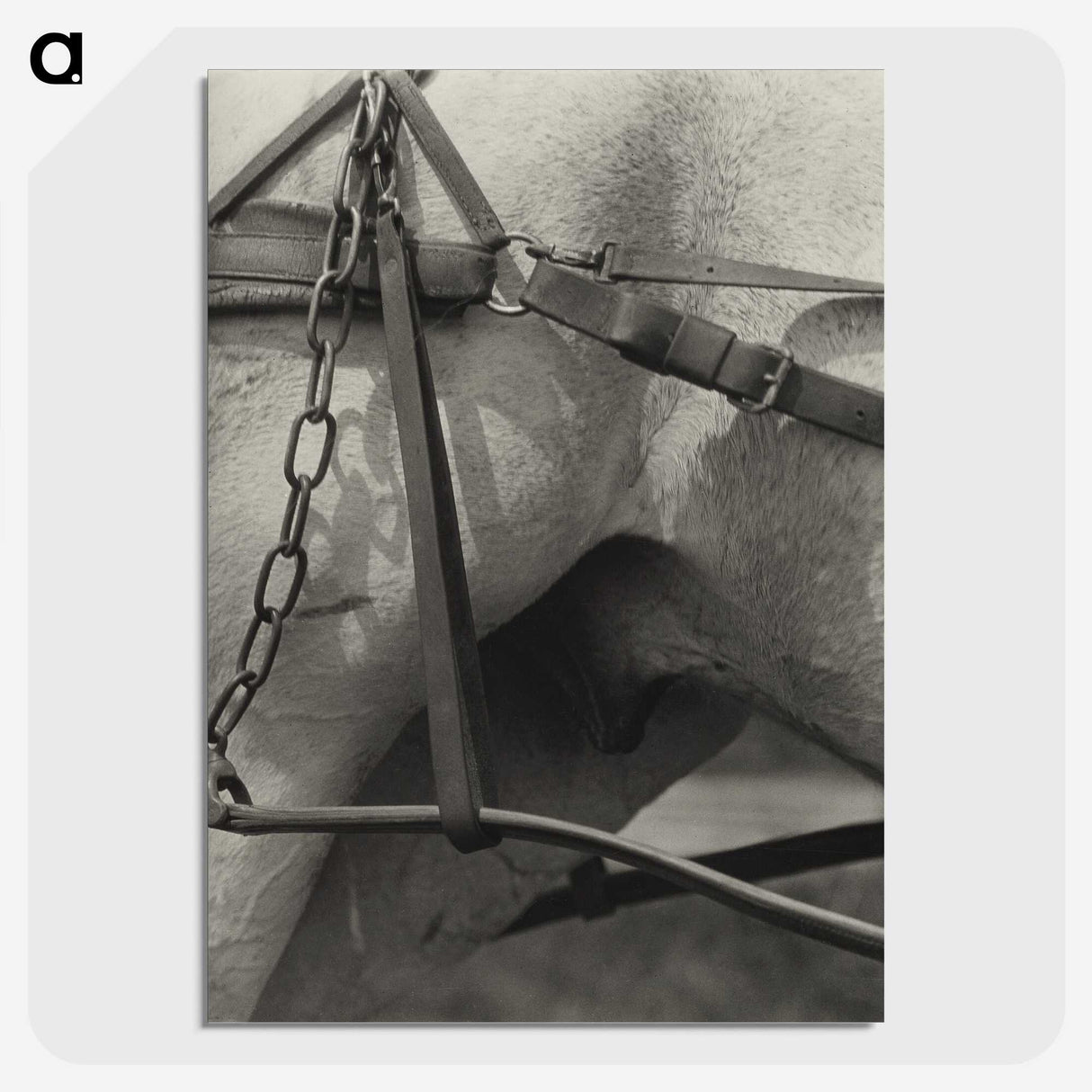 1-16_Alfred-Stieglitz_picture-crop