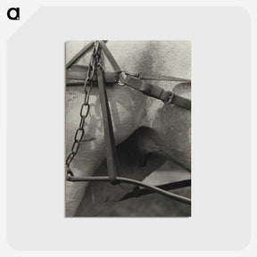 1-16_Alfred-Stieglitz_postcard