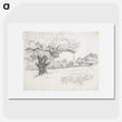 1-16_Alfred-William-Finch_picture