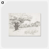 1-16_Alfred-William-Finch_postcard