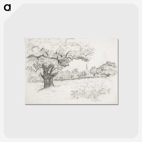 1-16_Alfred-William-Finch_postcard