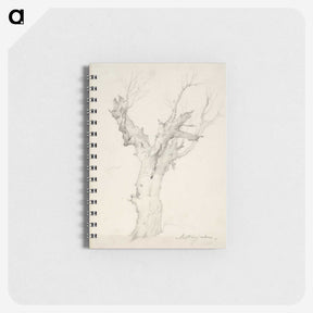 1-16_Anders-Ekman_memo